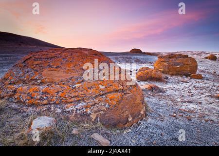 Unusual round red boulders in Red Rock Coulee in Southern Alberta, Canada. Stock Photo