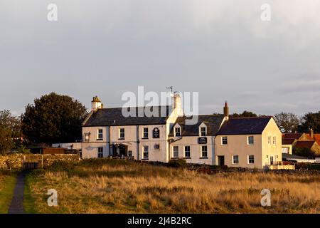 The Crown & Anchor Inn in the Holy Island village shortly after sunrise Stock Photo