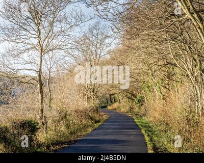 Winter view along the Tarka Trail, a cycling and pedestrian route along a disused railway line in North Devon, near Bideford. Stock Photo