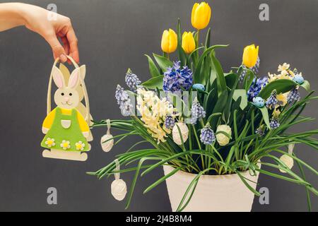Easter composition of spring flowers with eggs and bunny. Yellow tulips, hyacinths, blue muscari grow in pot on grey background with rabbit. Holiday d Stock Photo