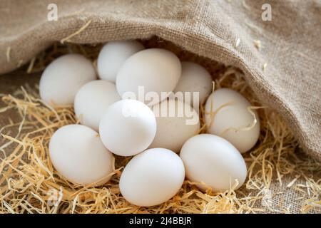 White chicken eggs covered with burlap sackcloth on hay or straw Stock Photo