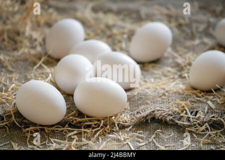 White chicken eggs in the straw nest on a burlap on wooden boards Stock Photo