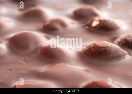 Surface of a chocolate bar with hazelnuts macro Stock Photo