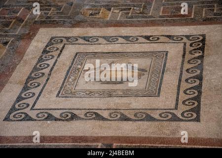 The tiled mosaic floor of the Central Courtyard of the Domvs Romana (Roman Villa) in Rabat, Malta. Stock Photo