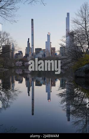 People enjoy a warm evening, cherry blossoms on a spring day in Central Park, New York City. Stock Photo