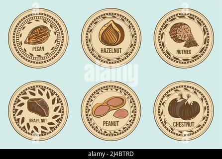 Colorful fresh nuts round labels set with different sorts of seeds on light background isolated vector illustration Stock Vector