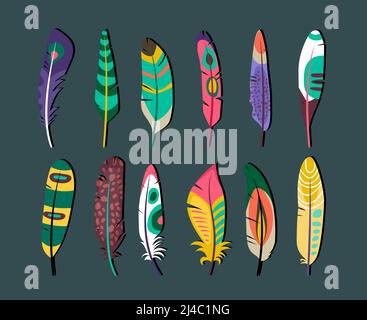 Close up Attractive Colored Feathers Icon Set Designs on Gray Background. Stock Vector