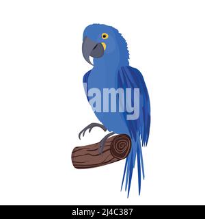 Cute cartoon Ara parrot on branch. Vector illustration for invitations, card, poster. Summer exotic print. Tropical parrot icon Stock Vector