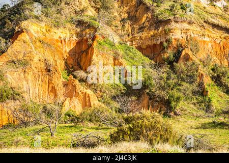 The Pinnacles are colourful sand dunes on the eastern coastline, along Seventy Five Mile Beach on Fraser Island, Queensland, Australia Stock Photo