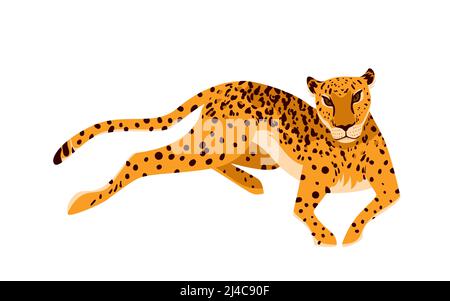 Leopard, African exotic predator, portrait of wild elegant animal from zoo or tropical jungle Stock Vector