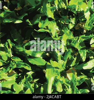 green grass vector illustration suitable for wallpaper backgroun Stock Vector