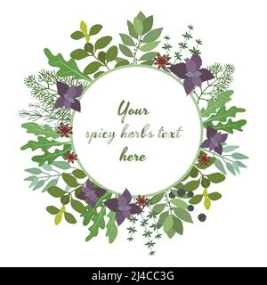 Vector illustration of fresh cooking herbs in a circular frame with oregano  parsley  basil  rosemary  rocket  sage  bay and thyme leaves around centr Stock Vector