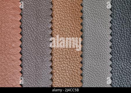 Samples of beige, brown, gray black leather. Leather crafts and craftwork. View from above. Stock Photo