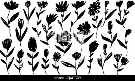 Hand drawing stylized brush flowers on white. Stock Vector