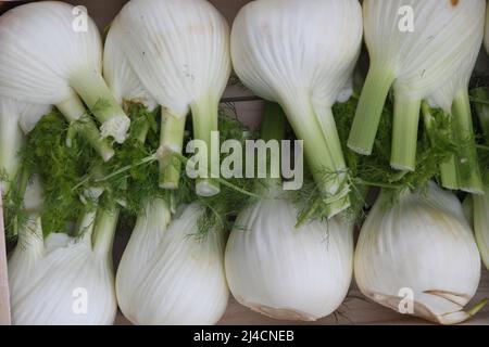 Copenhagen/Denmark/.14 April 2022/.Out door  fruit and vegetables hopper find higher food prices in Denmark and at fruit and vegetable vendor in danish capital. (Photo..Francis Dean/Dean Pictures) Stock Photo