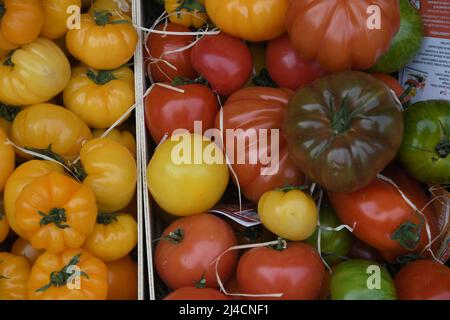 Copenhagen/Denmark/.14 April 2022/.Out door  fruit and vegetables hopper find higher food prices in Denmark and at fruit and vegetable vendor in danish capital. (Photo..Francis Dean/Dean Pictures) Stock Photo