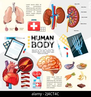 Cartoon healthcare template with kidneys lungs heart brain pills clipboard thermometer syringe fish carrot banana chicken nuts chocolate hand x-ray ve Stock Vector