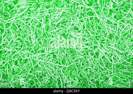 Background of green corrugated cut paper Stock Photo