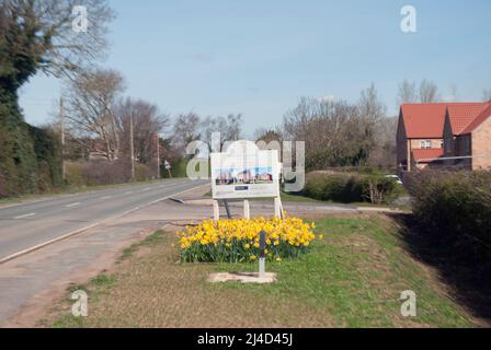 Bed of yellow daffodils in front of sign for new built housing estatein the village of Ruskington, Sleaford, Lincolnshire, England, UK Stock Photo