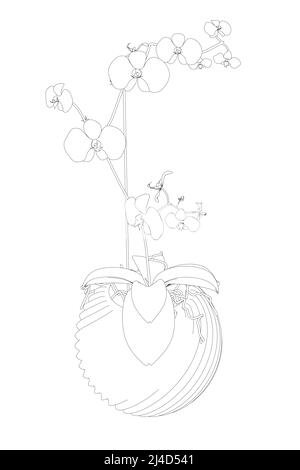 Outline of an orchid in a decorative pot made of black lines isolated on a white background. Front view. Vector illustration. Stock Vector