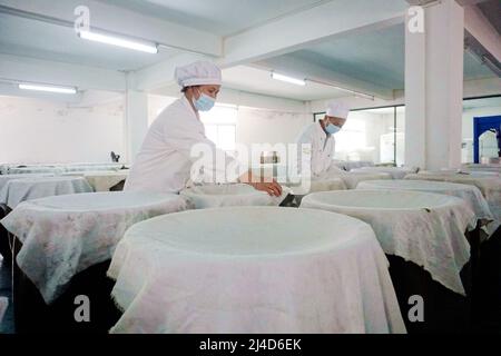 QIANDONGNAN, CHINA - APRIL 14, 2022 - Workers work in a wine cellar in Qiandongnan, Guizhou Province, China, April 14, 2022. Stock Photo