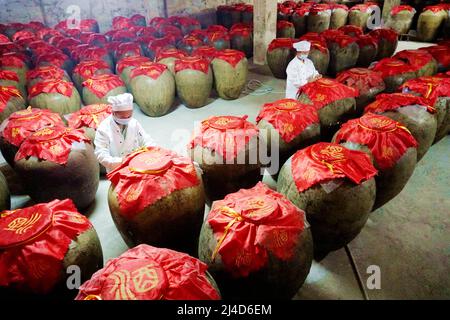 QIANDONGNAN, CHINA - APRIL 14, 2022 - Workers work in a wine cellar in Qiandongnan, Guizhou Province, China, April 14, 2022. Stock Photo