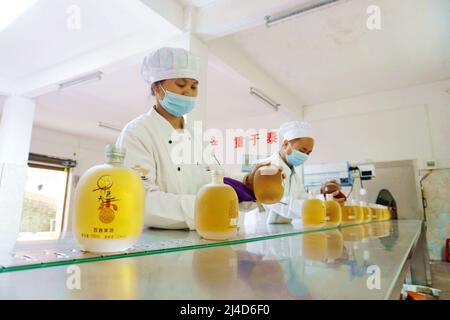 QIANDONGNAN, CHINA - APRIL 14, 2022 - Workers work in a wine cellar in Qiandongnan, Guizhou Province, China, April 14, 2022. Stock Photo