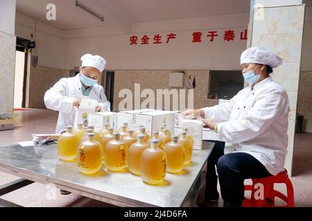 QIANDONGNAN, CHINA - APRIL 14, 2022 - Workers work in a wine cellar in Qiandongnan, Guizhou Province, China, April 14, 2022. Stock Photo