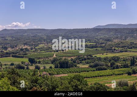 Panoramic view of Little Luberon valley from hilltop, vineyards, orchards, cultivated fields, deciduous trees in the summer morning. Vaucluse, Provence Stock Photo