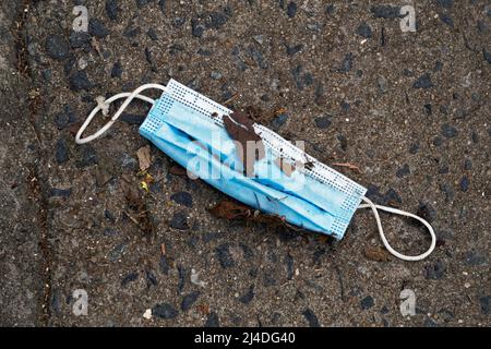 Medical face mask on floor in street. Improperly discarding used face mask. Stock Photo