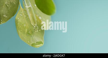 Essential oil extract of medicinal herbs Stock Photo