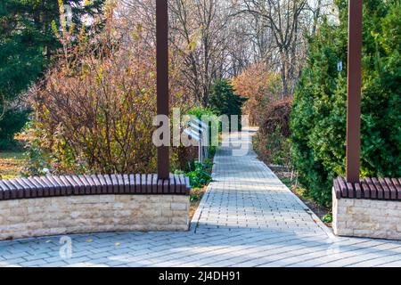 An alley in the Botanic Garden Iasi during autumn, Romania Stock Photo