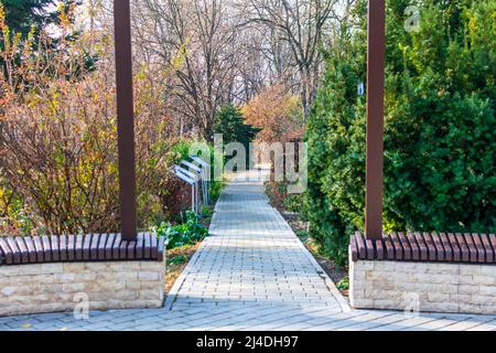 An alley in the Botanic Garden Iasi during autumn, Romania Stock Photo