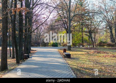 An alley in the Botanic Garden Iasi during autumn, Romania Stock Photo