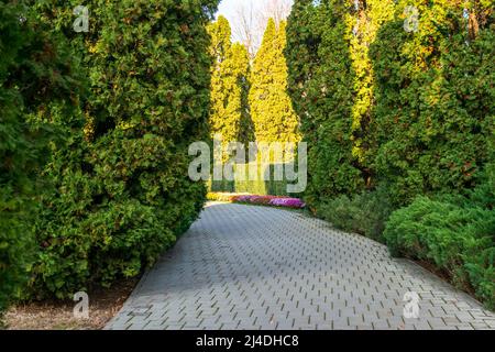 An alley in the Botanic Garden Iasi during autumn, Romania Stock Photo