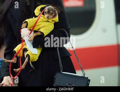 Berlin, Germany. 14th Apr, 2022. A woman has her dog in one hand and a child in the other as she makes her way up the escalator at the main train station. Shortly before the Easter holidays, many trains are fully booked. Credit: Annette Riedl/dpa/Alamy Live News Stock Photo