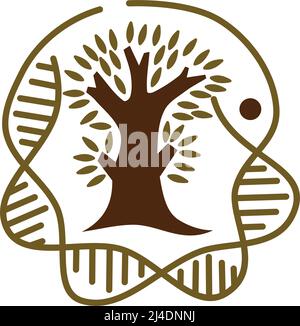 helix dna genetic tree logo Icon Illustration Brand Identity Stock Vector