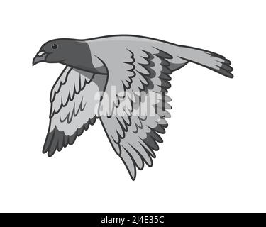 Detailed Flying Pigeon Illustration Vector Stock Vector