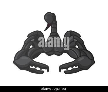Detailed Scorpion with Front View Illustration Vector Stock Vector