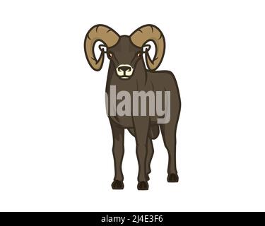 Detailed Standing Bighorn Sheep Illustration Vector Stock Vector