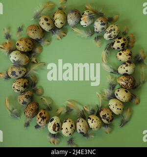 quail eggs on green background Stock Photo