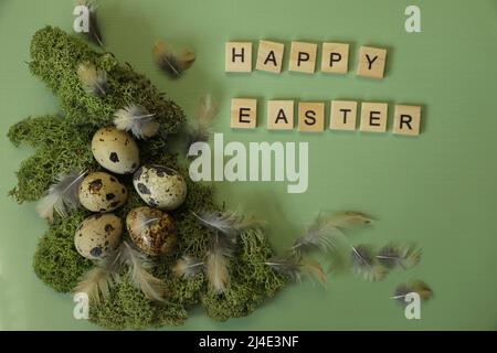 quail eggs on green background Stock Photo