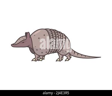 Detailed Armadillo the Mammal Illustration Vector Stock Vector