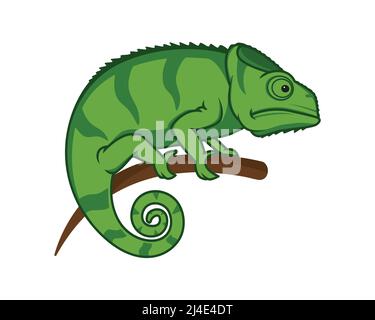 Chameleon Perched on the Branch Illustration Vector Stock Vector