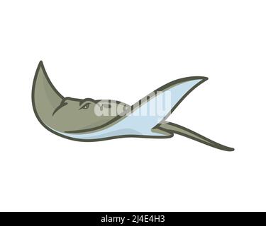 Detailed Swimming Ray Fish or Stingray Illustration Vector Stock Vector