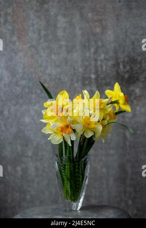 Panoramic grunge background with yellow daffodil flowers. Pattern with a bouquet of daffodils flowers on a dark background. Wide angle web banner mock Stock Photo