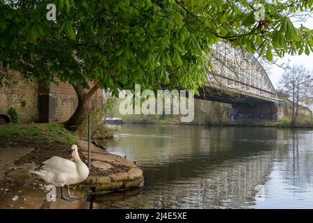 Windsor, Berkshire, UK. 14th April, 2022. After a misty start to the morning, the sunshine came out in Windsor as temperatures reached 17 degrees. The warm weather is expected to continue over the Easter Bank Holiday Weekend. Credit: Maureen McLean/Alamy Live News Stock Photo