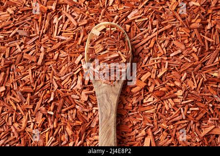 Red sandalwood chips on a spoon - ingredient for aromatherapy essential oils Stock Photo