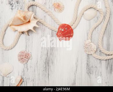 Sea background with ropes and seashells Stock Photo