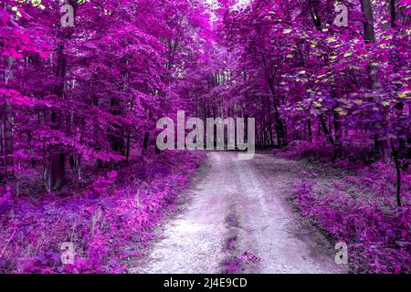 Beautiful pink and purple infrared panorama of a forest Stock Photo